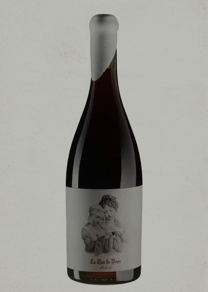 2019 Roses de Jeanne / Cédric Bouchard, La Haie de Brune, Coteaux Champenois, Champagne, France