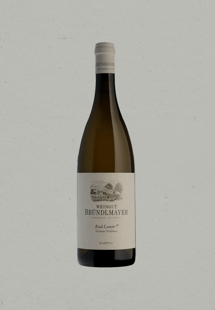 2019 Weingut Bründlmayer, Ried Langenloiser Käferberg, 1 ÖTW, Kamptal, Austria