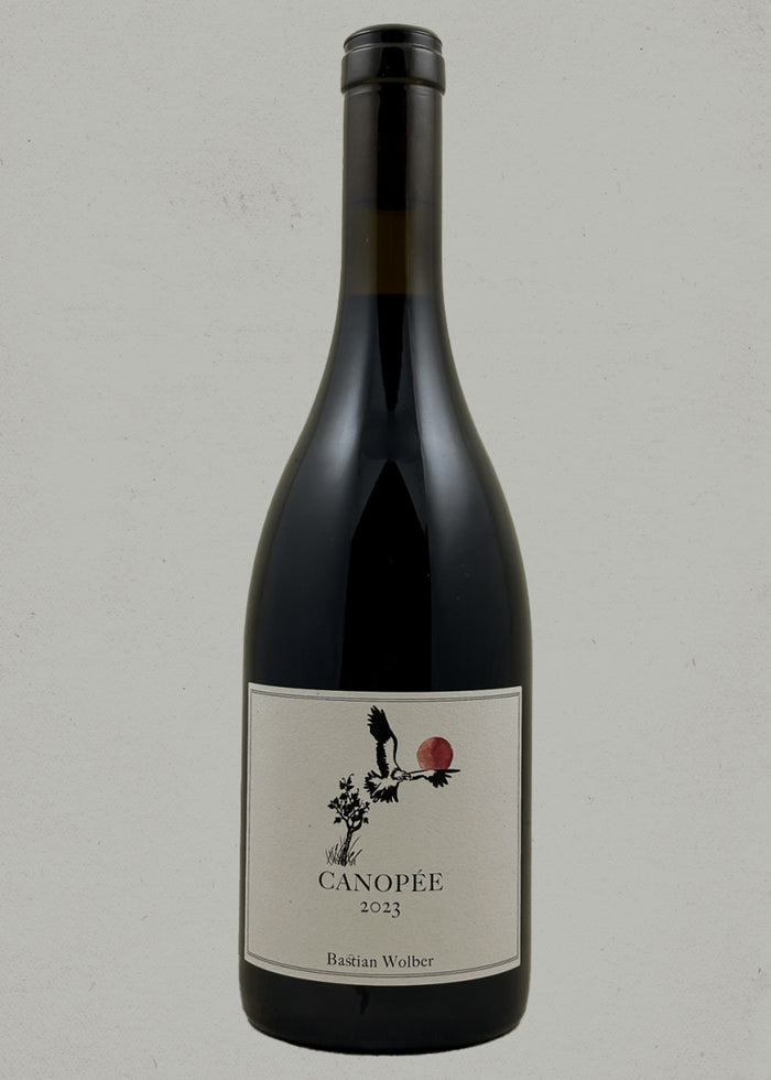 2023 Bastian Wolber, Canopée, Bourgogne Côte d'or Rouge, Burgundy, France - PRE ARRIVAL