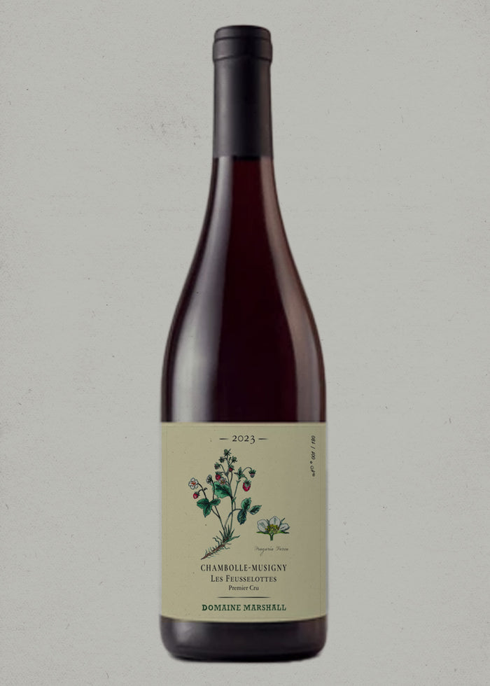 2023 Domaine Marshall, Chambolle-Musigny, Les Feusselottes, 1er Cru, Burgundy, France
