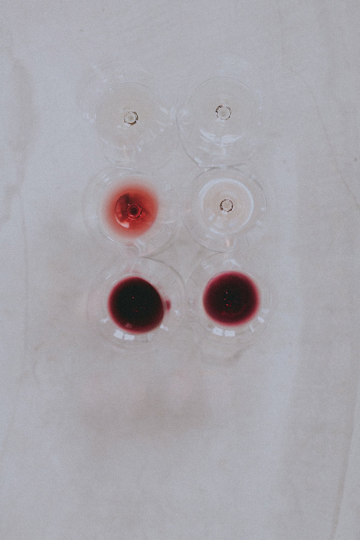 David Coggins & Yes Society