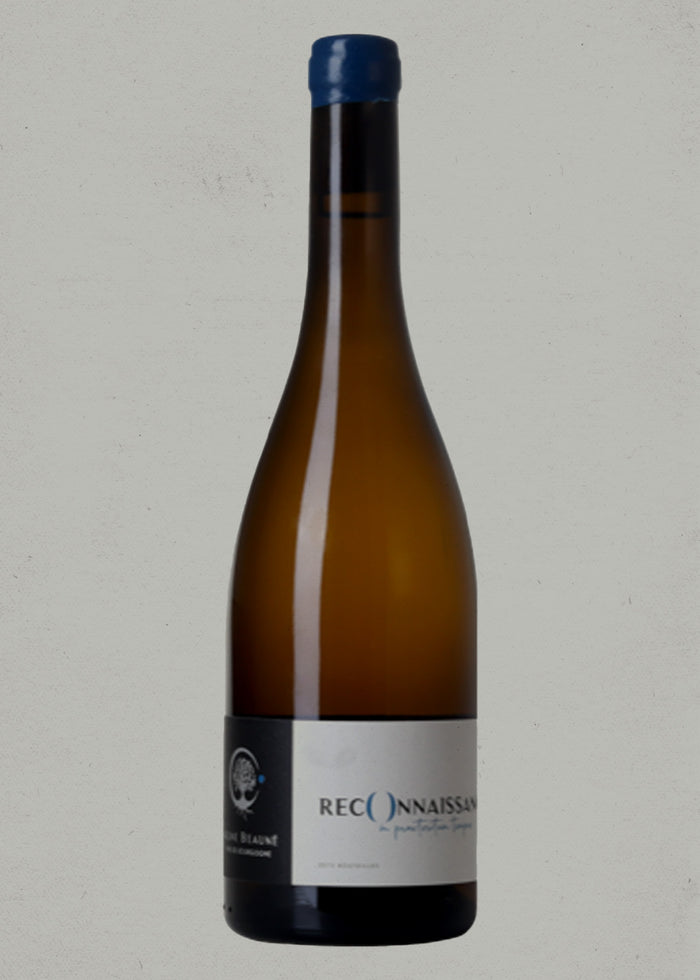 2024 Aline Beauné, Reconnaissance, Montagny, Burgundy, France