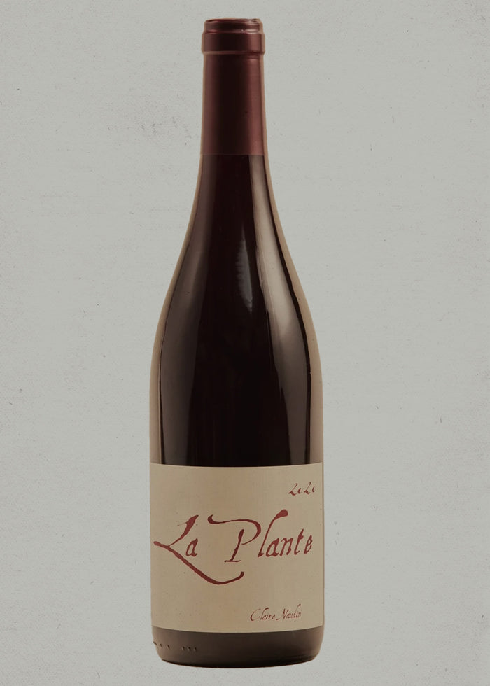 2023 BiNaume, La Plante d'à Côté, Saint-Pourçain, VdF, France