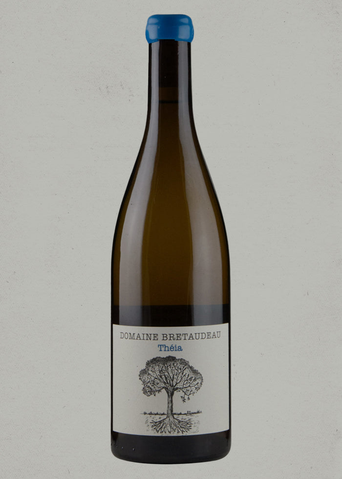 2023 Domaine de Bellevue / Jérôme Bretaudeau, Théia, Muscadet, Loire Valley, France - PRE ARRIVAL
