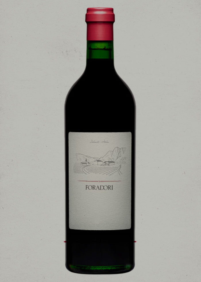 2023 Foradori, Teroldego, Vigneti delle Dolomiti IGT, Trentino-Alto Adige, Italy