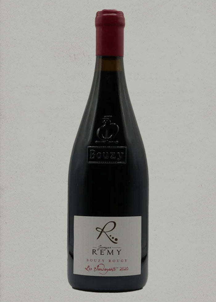 2020 Georges Remy, Les Vaudayants, Coteaux Champenois, Bouzy Rouge, Champagne, France